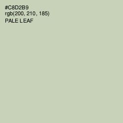 #C8D2B9 - Pale Leaf Color Image